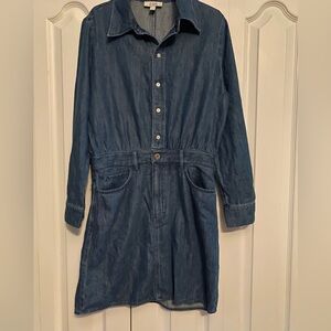 COS Denim Long Sleeve Dress Shirt